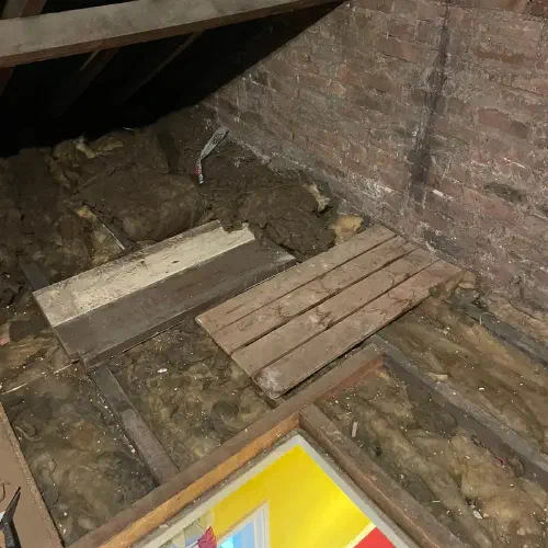 Loft Clearance, Devonshire