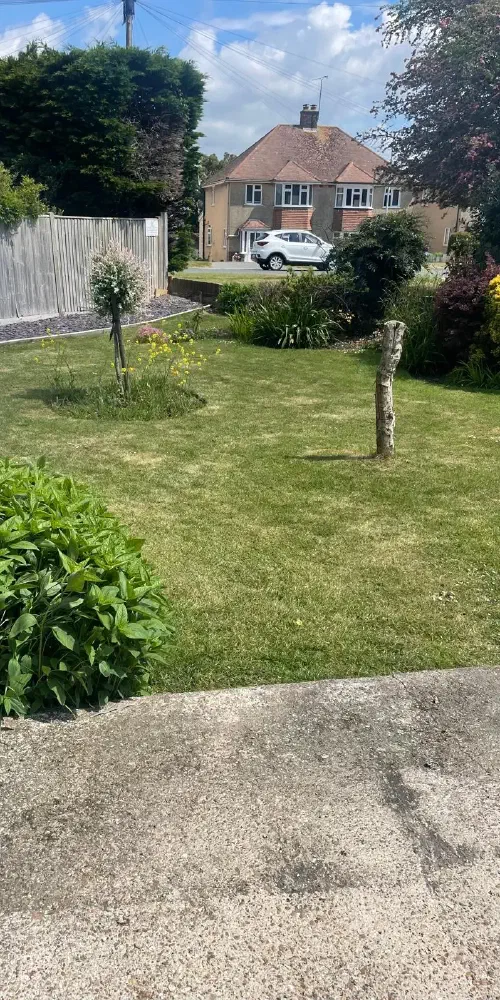 Garden Clearance, Polegate