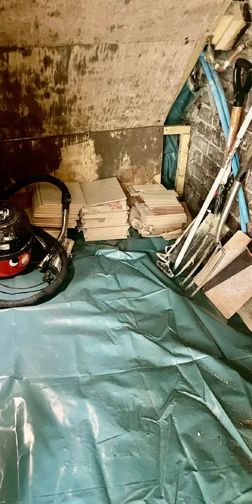 Basement General Waste Clearance, Upperton