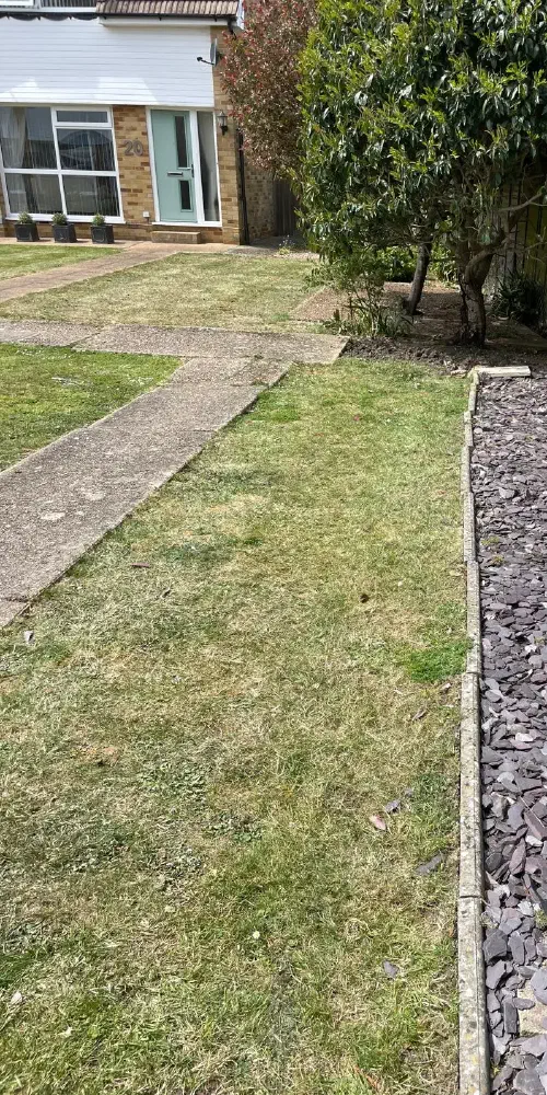 Garden Clearance, Willingdon