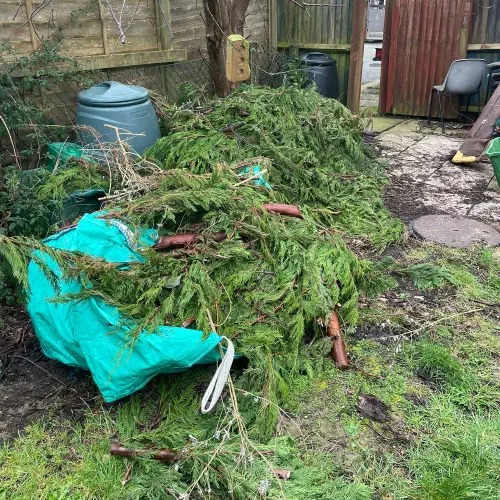 Garden Green Waste and Fencing, Eastbourne
