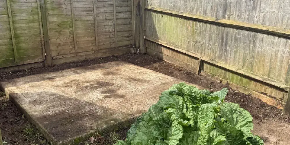 Shed and Garden Clearance, Polegate