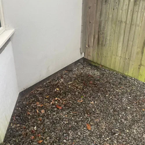 Garden Clearance, Willingdon